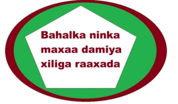 Bahalka ninka maxaa damiya xiliga raaxada