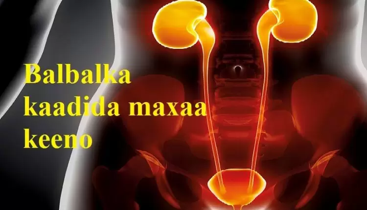 Balbalka kaadida maxaa keeno