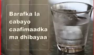Barafka la cabayo caafimaadka ma dhibayaa Barafka la cabayo caafimaadka ma dhibayaa