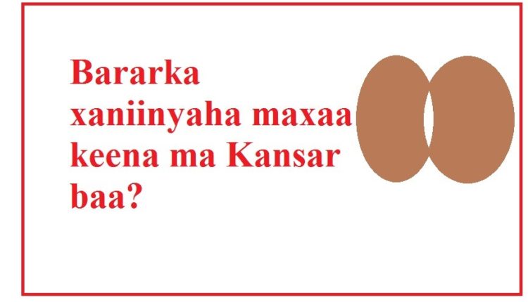 Bararka xaniinyaha maxaa keena ma Kansar baa