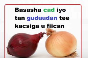 Basasha cad iyo tan guduudan tee kacsiga u fiican