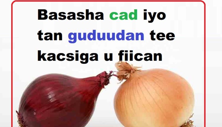 Basasha cad iyo tan guduudan tee kacsiga u fiican