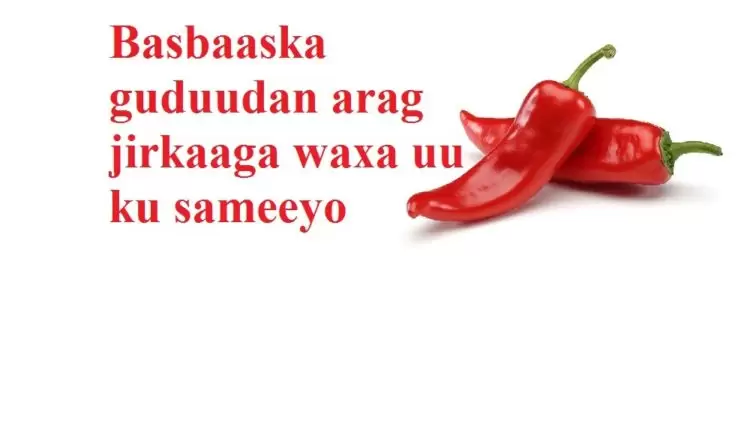 Basbaaska guduudan arag jirkaaga waxa uu ku sameeyo