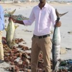 Somali one of the best country to hunting a fish