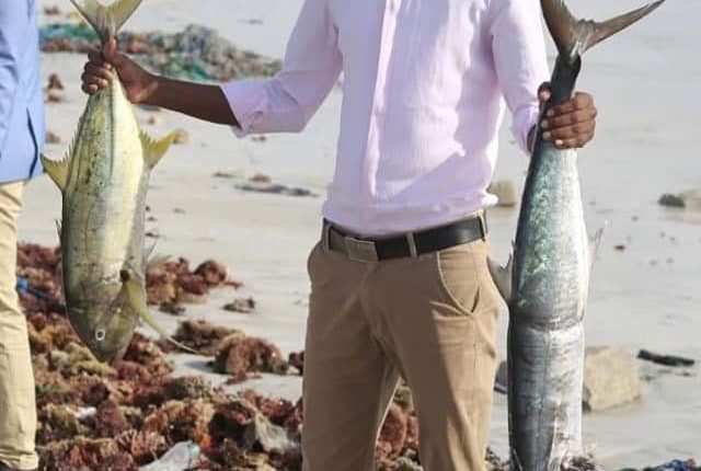 Best fish in somali sea