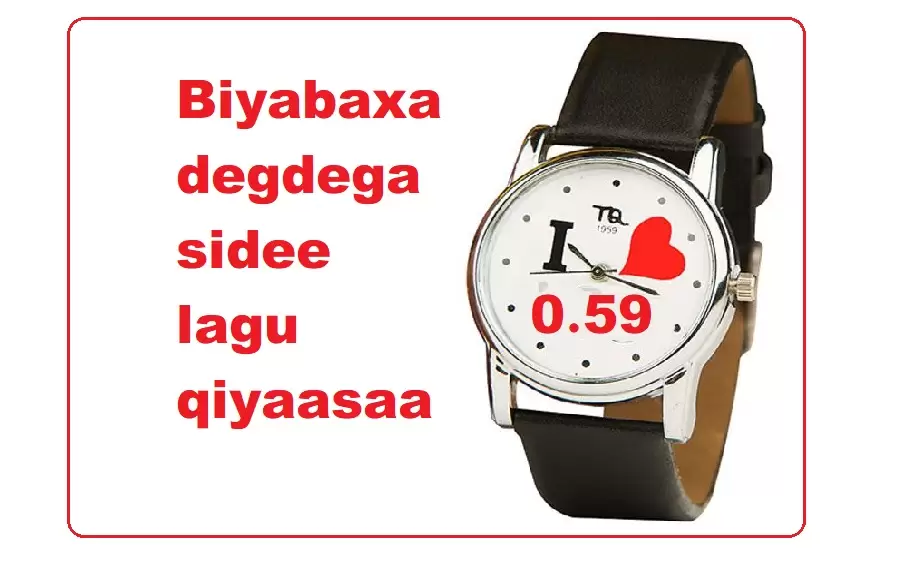 Biyabaxa degdega sidee lagu qiyaasaa