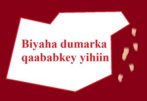 Biyaha dumarka qaababkey yihiin