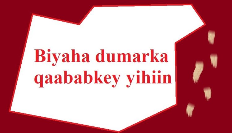 Biyaha dumarka qaababkey yihiin