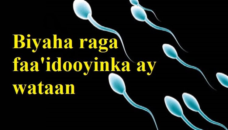 Biyaha raga faa’idooyinka ay wataan