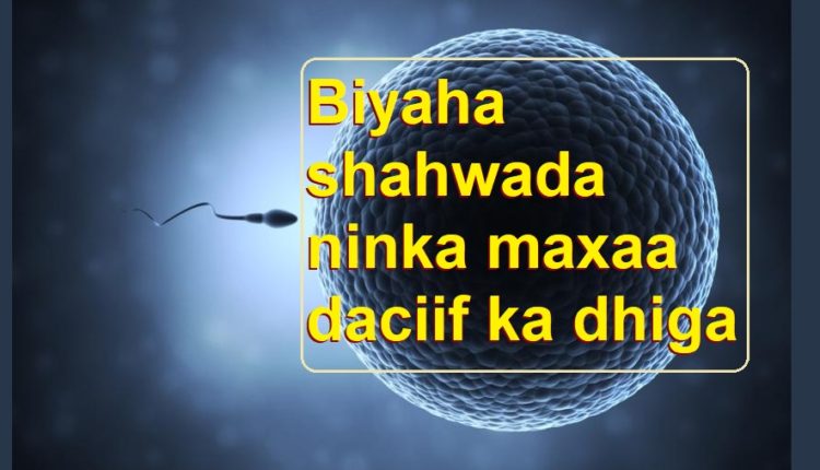 Biyaha shahwada ninka maxaa daciif ka dhiga