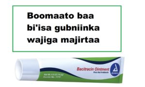 Boomaato baa bi'isa gubniinka wajiga majirtaa