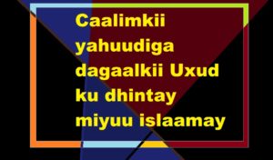 Caalimkii yahuudiga dagaalkii Uxud ku dhintay miyuu islaamay