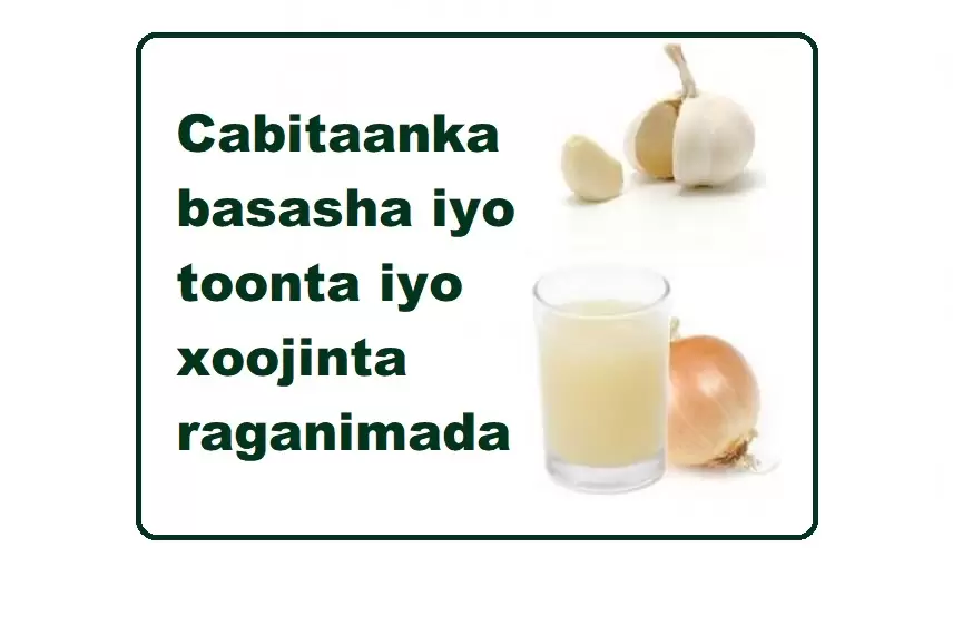Cabitaanka basasha iyo toonta iyo xoojinta raganimada