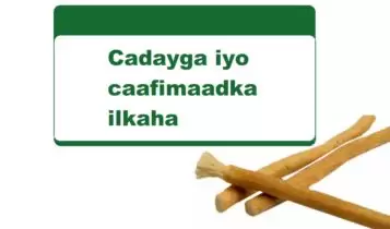 Cadayga iyo caafimaadka ilkaha