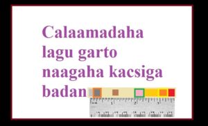 Calaamadaha lagu garto naagaha kacsiga badan