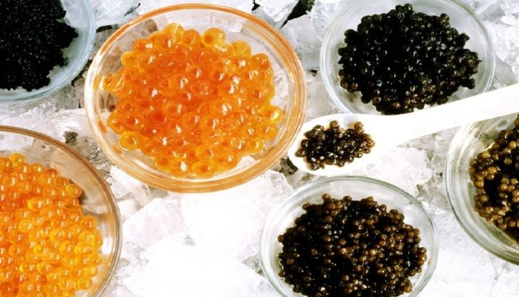 Caviar nooca madow iyo nooca guduudan