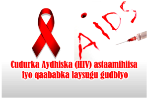 Cudurka Aydhiska (HIV) astaamihiisa iyo qaababka laysugu gudbiyo