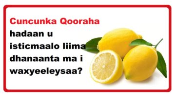 Cuncunka Qooraha hadaan u isticmaalo liima dhanaanta ma i waxyeeleysaa?