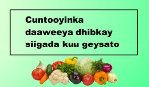 Cuntooyinka daaweeya dhibkay siigada kuu geysato