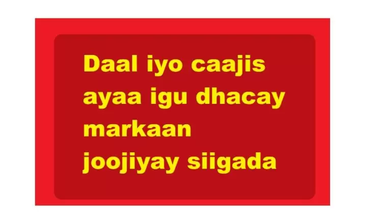Daal iyo caajis ayaa igu dhacay markaan joojiyay siigada