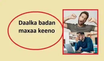 Daalka badan maxaa keeno