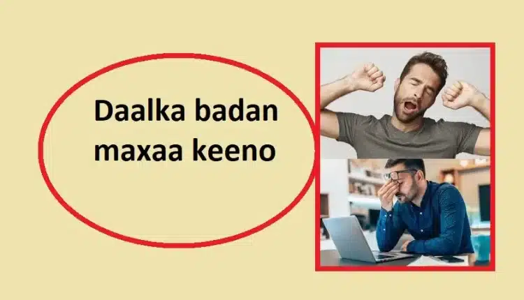 Daalka badan maxaa keeno