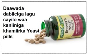 Daawada dabiiciga lagu cayilo waa kaniiniga khamiirka Yeast pills