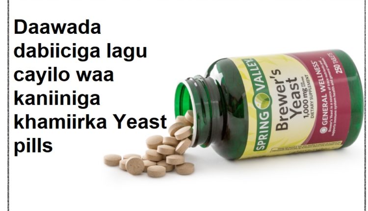 Daawada dabiiciga lagu cayilo waa kaniiniga khamiirka Yeast pills 1