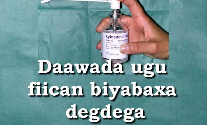 Daawada ugu fiican biyabaxa degdega