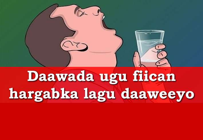 Daawada ugu fiican hargabka lagu daaweeyo v