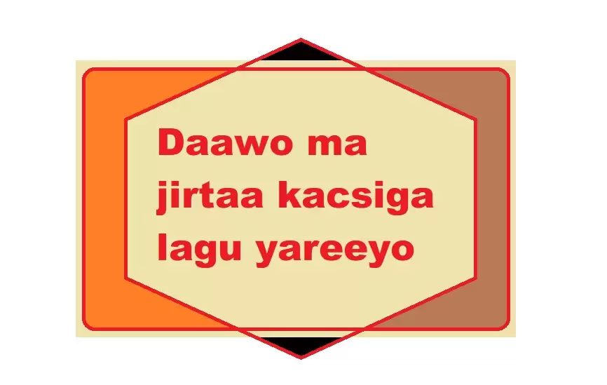 Daawo ma jirtaa kacsiga lagu yareeyo