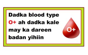 Dadka blood type O+ ah dadka kale may ka dareen badan yihiin 