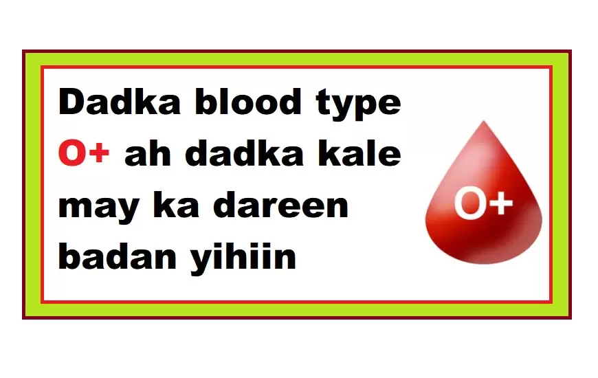 Dadka blood type O+ ah dadka kale may ka dareen badan yihiin