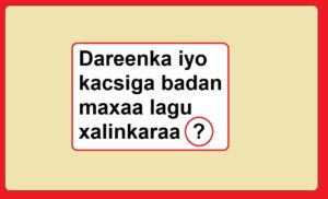 Dareenka iyo kacsiga badan maxaa lagu xalinkaraa?