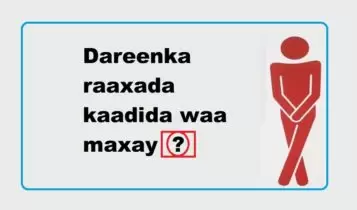 Dareenka raaxada kaadida waa maxay Dareenka raaxada kaadida waa maxay