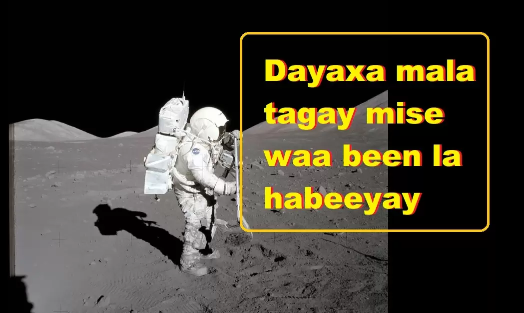 Dayaxa mala tagay mise waa been la habeeyay