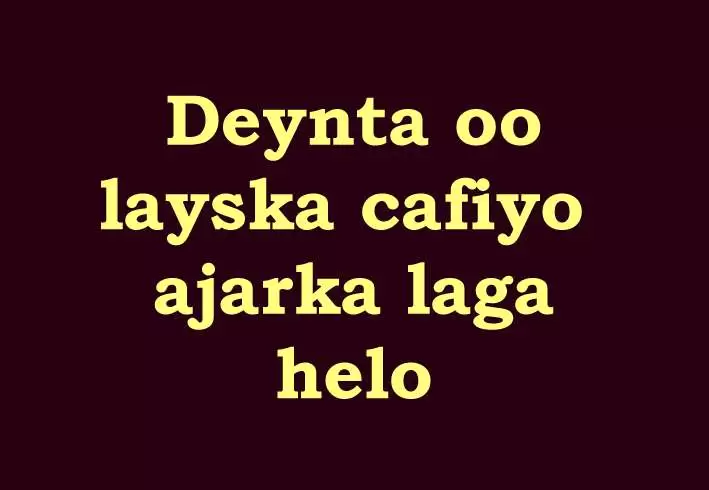 Deynta oo layska cafiyo ajarka laga helo