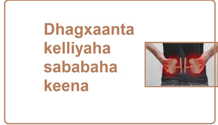 Dhagxaanta kelliyaha sababaha keena 1