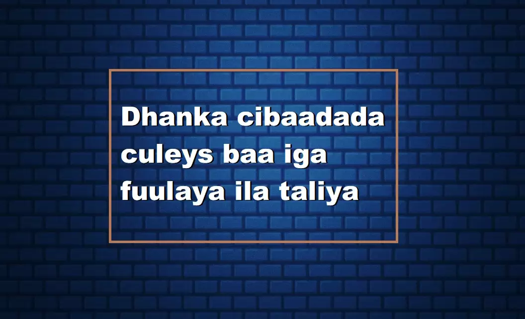 Dhanka cibaadada culeys baa iga fuulaya ila taliya