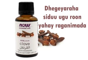 Dhegeyaraha (Clove) siduu ugu roon yahay raganimada