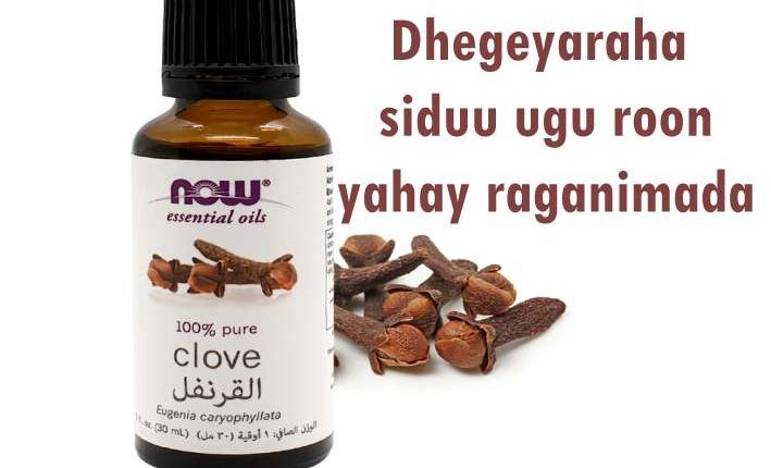 Dhegeyaraha (Clove) siduu ugu roon yahay raganimada