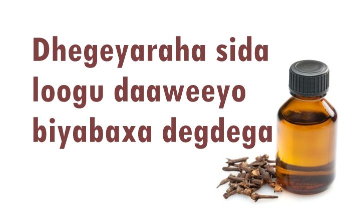 Dhegeyaraha sida loogu daaweeyo biyabaxa degdega