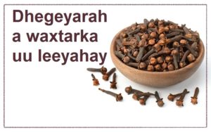 Dhegeyaraha waxtarka uu leeyahay