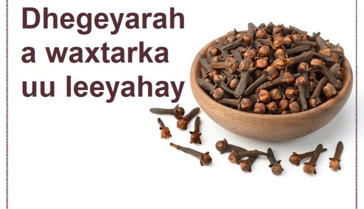 Dhegeyaraha waxtarka uu leeyahay 1