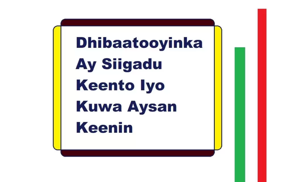 Dhibaatooyinka Ay Siigadu Keento Iyo Kuwa Aysan Keenin