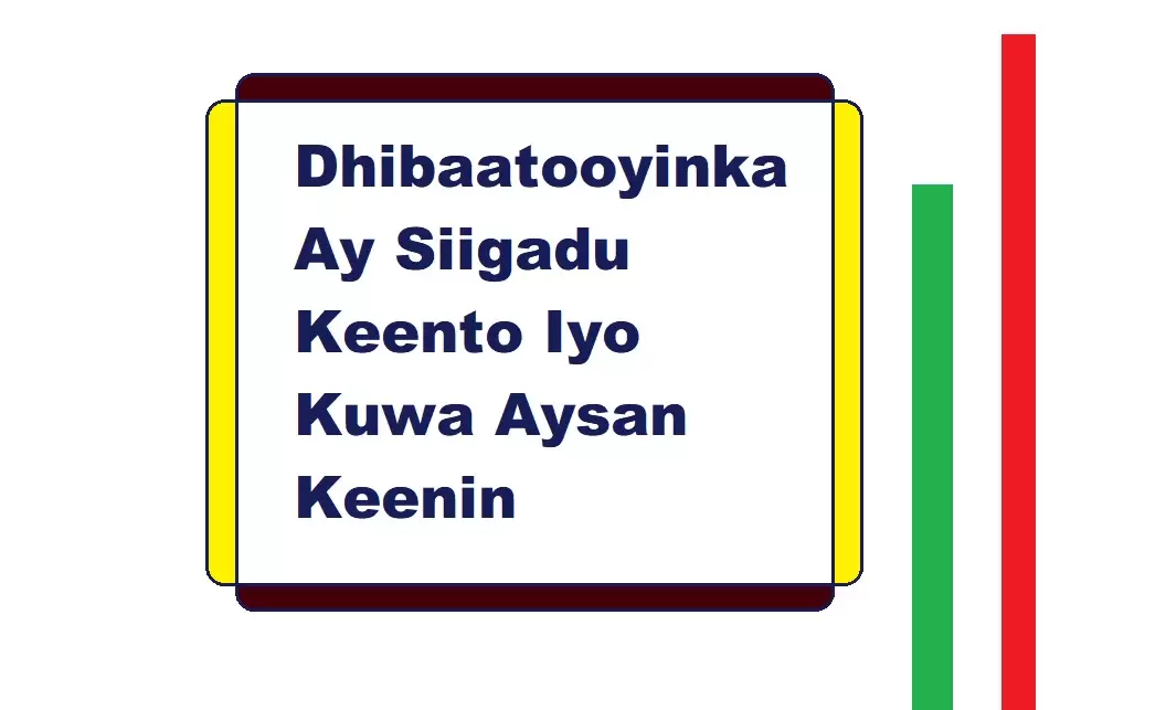 Dhibaatooyinka Ay Siigadu Keento Iyo Kuwa Aysan Keenin