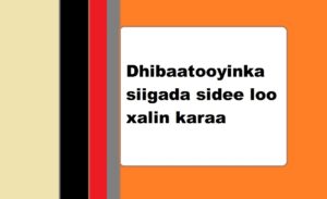 Dhibaatooyinka siigada sidee loo xalin karaa