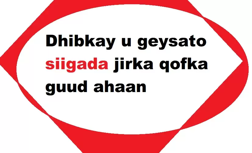 Dhibkay u geysato siigada jirka qofka guud ahaan