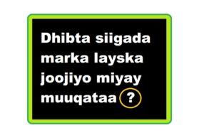 Dhibta siigada marka layska joojiyo miyay muuqataa