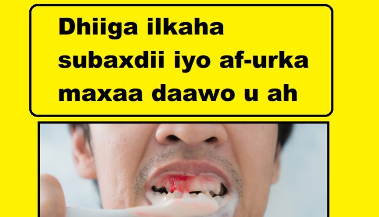 Dhiiga ilkaha subaxdii iyo af-urka maxaa daawo u ah